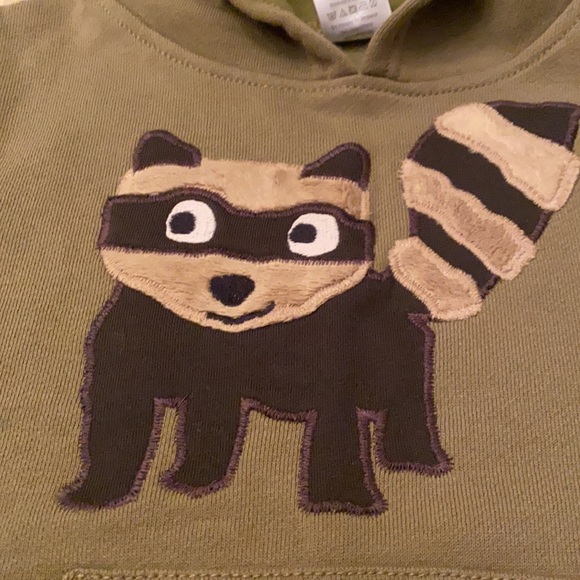 NWT Gymboree boys size2 raccoon sweater & hoodie - Picture 7 of 8